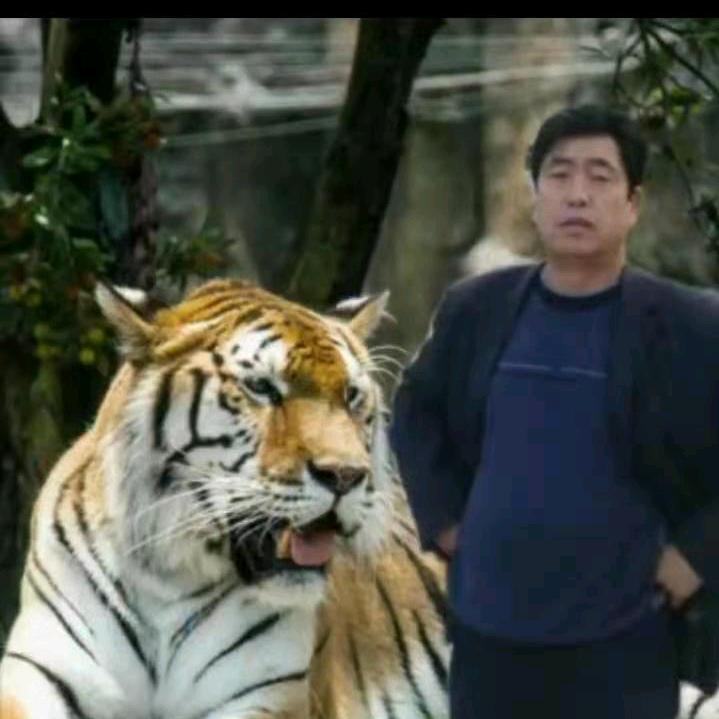 超越及限