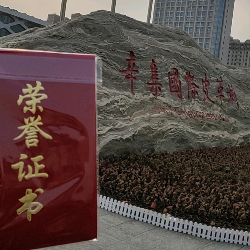 清明雨上