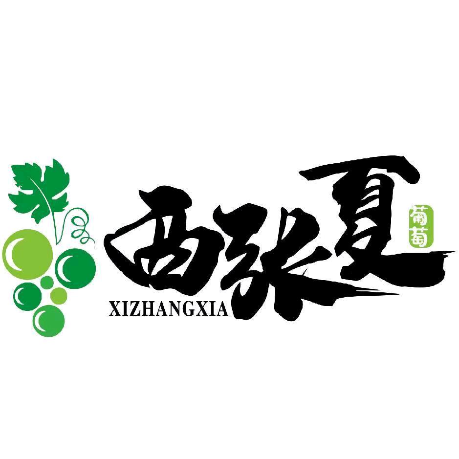 大美张夏🍇