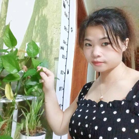 樱桃