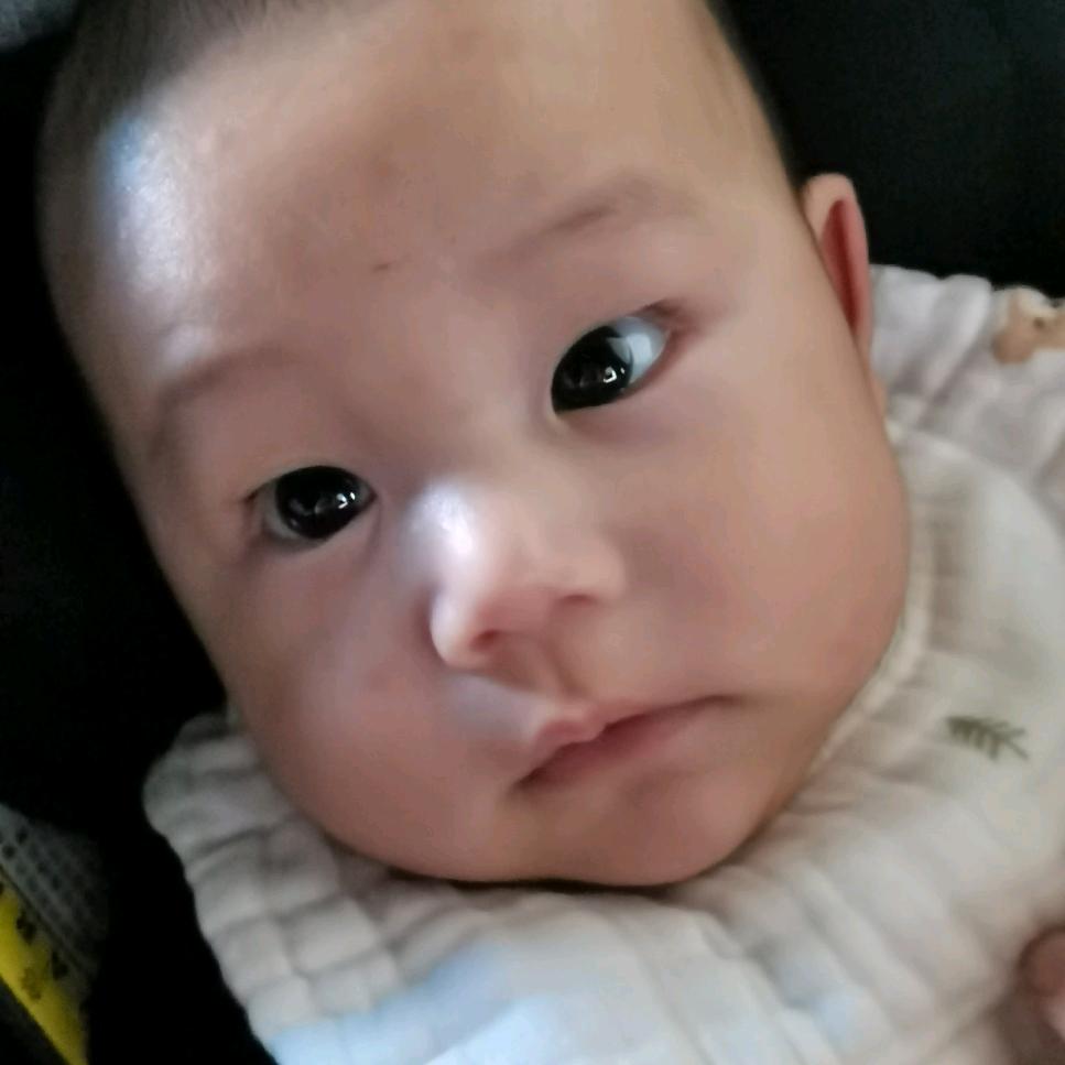 春夏秋冬