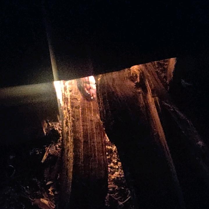 ﹎＂简ミ
