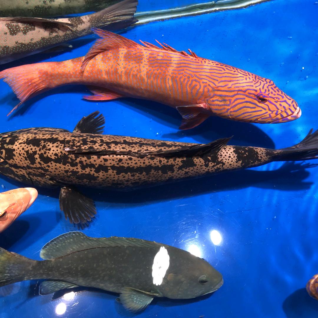 北海海鲜冰冰家