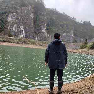 面包流浪挂壁仔