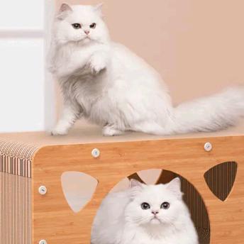 合肥市包河区罗之河商贸经营部