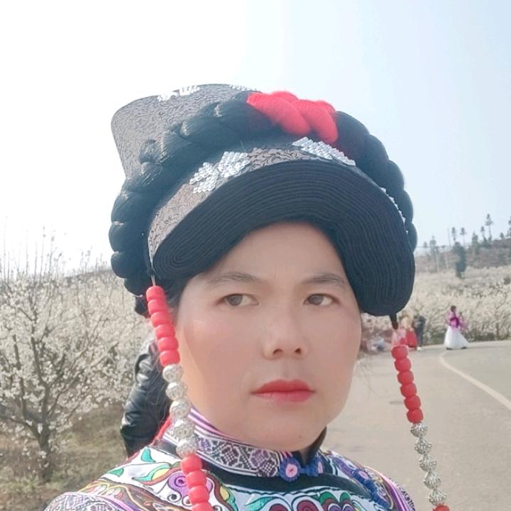 彝家人杨梅