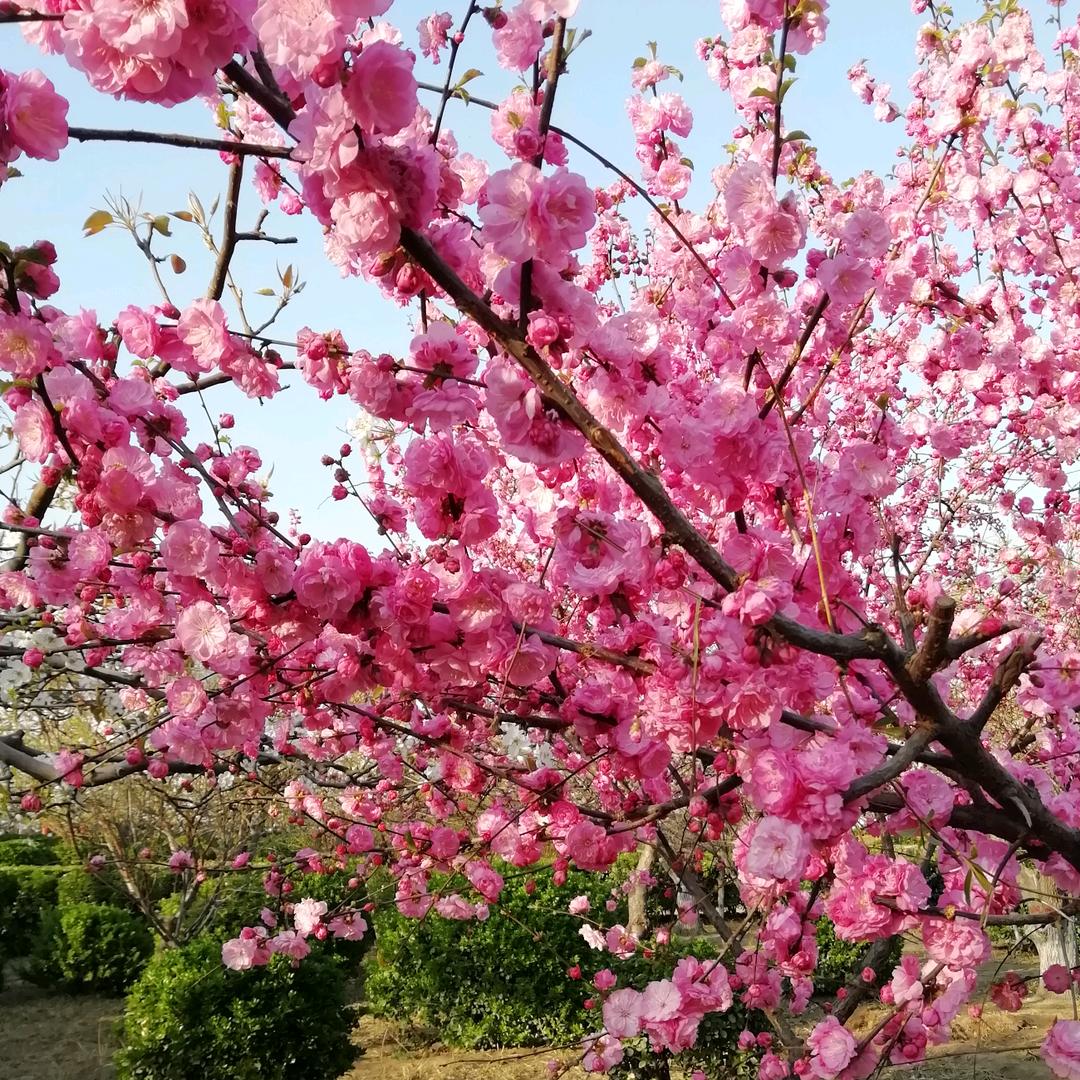 钴聚家居生活企业店