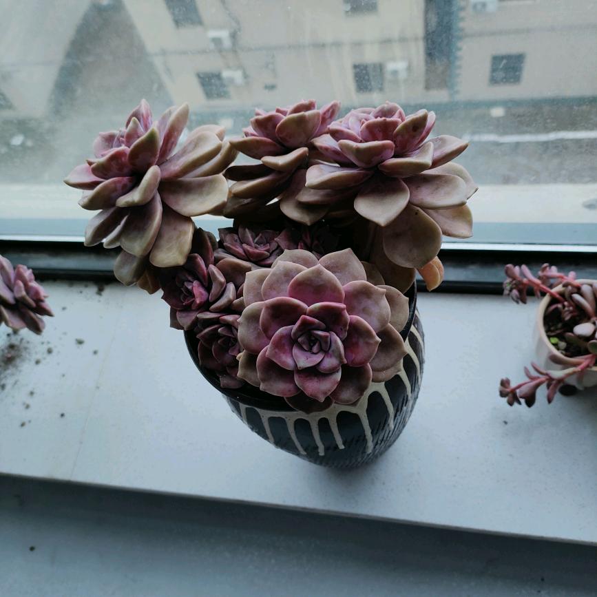 夏天🌸🍀🌼🌷