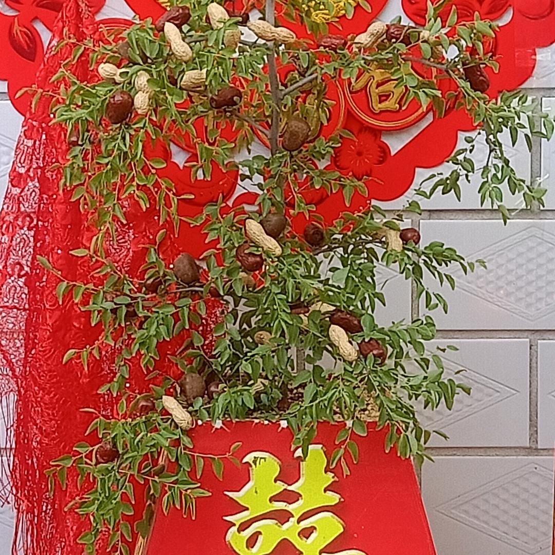 快乐的微笑男🍎🍎🍎