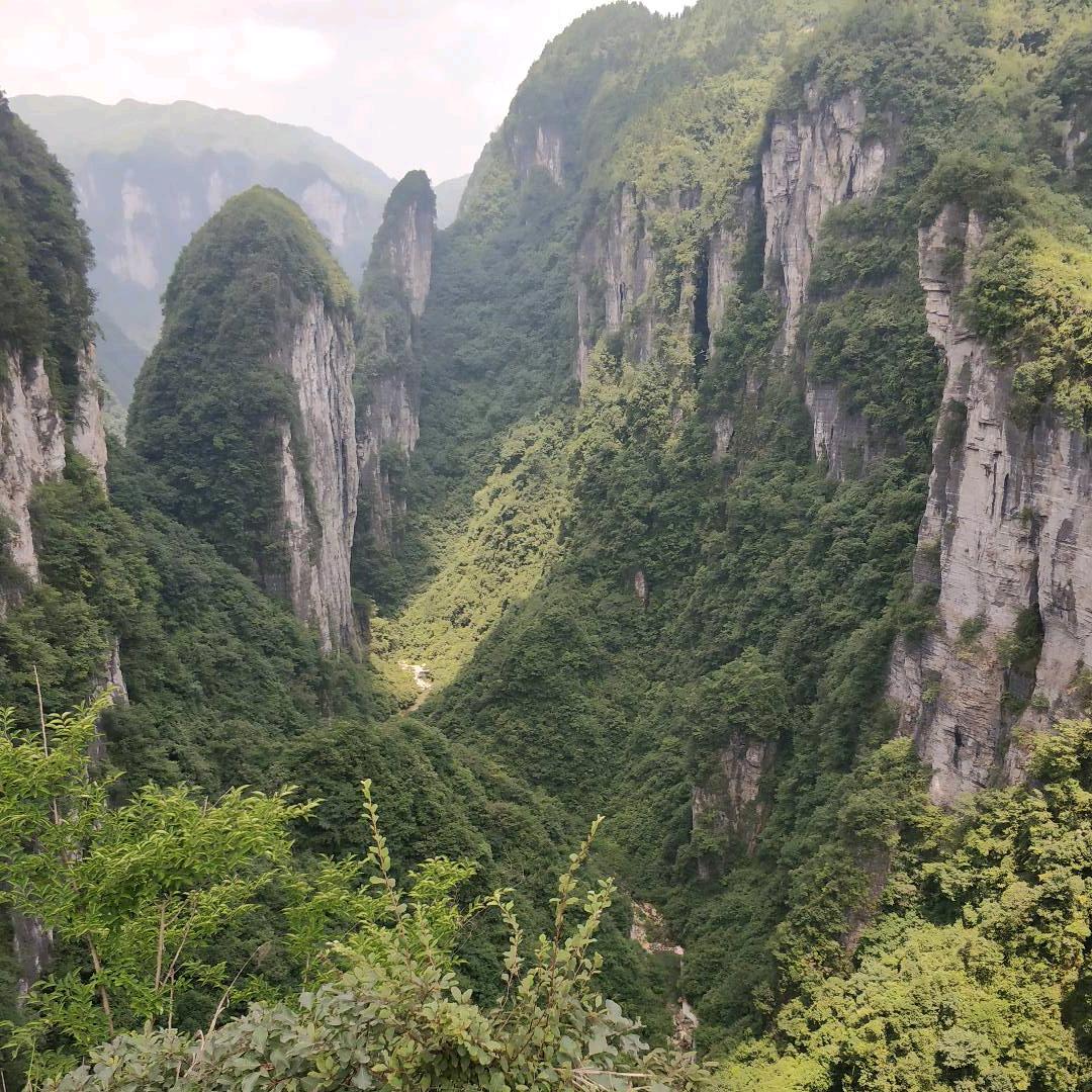 广美门窗装饰