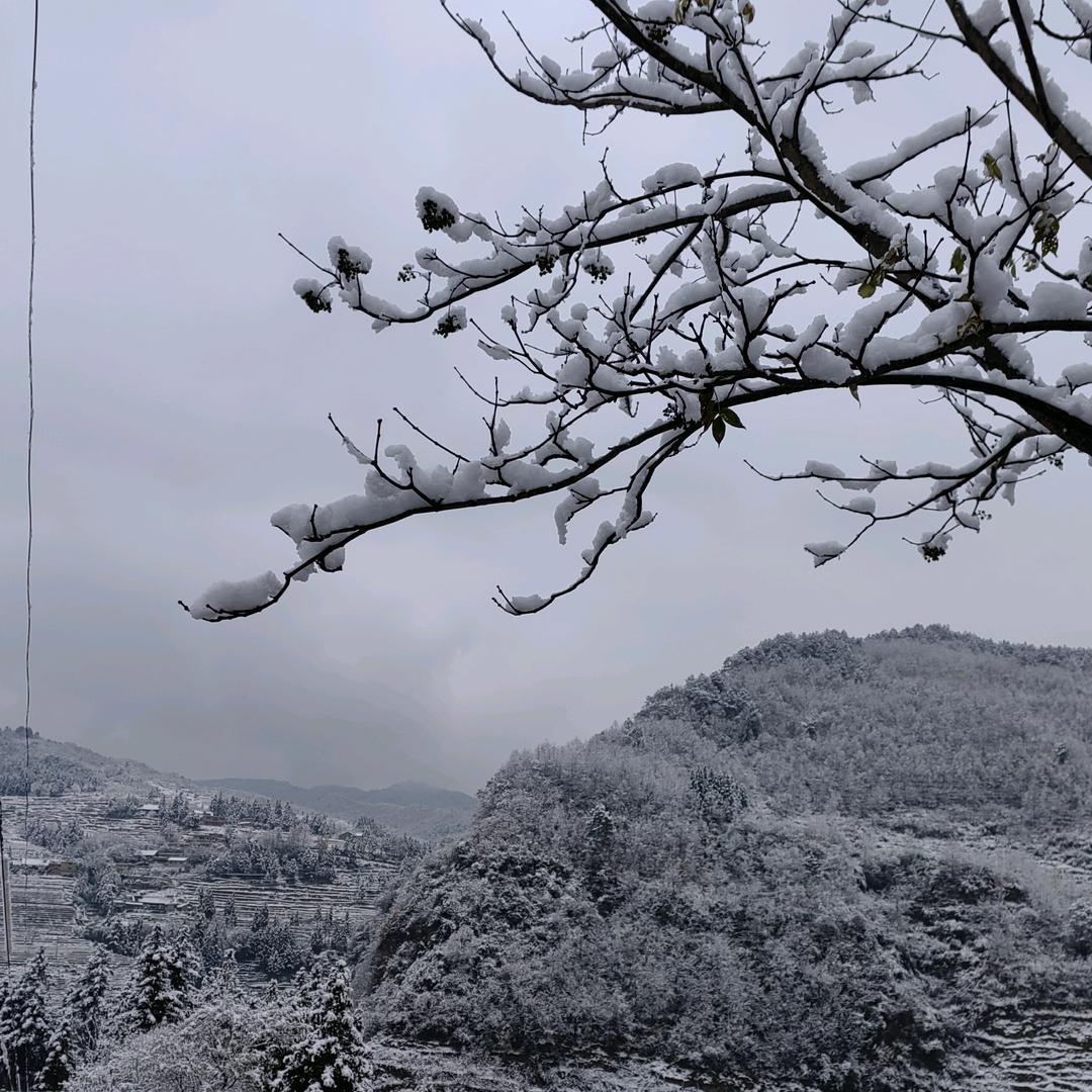 用户379936731991