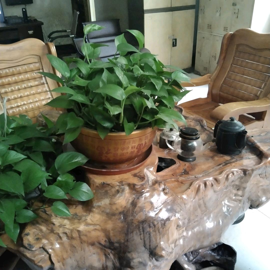 我的人生靠自己