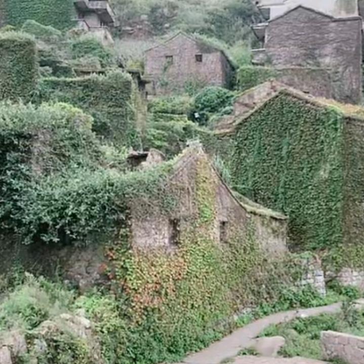 幸福天天