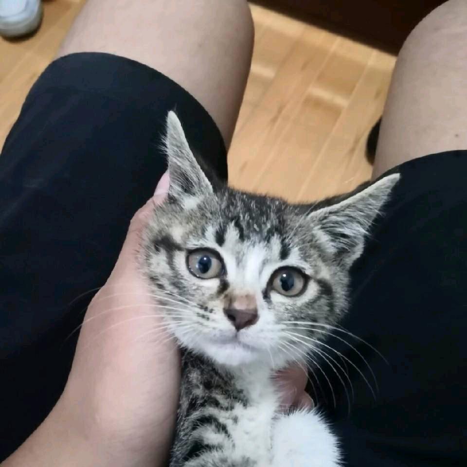 绝活