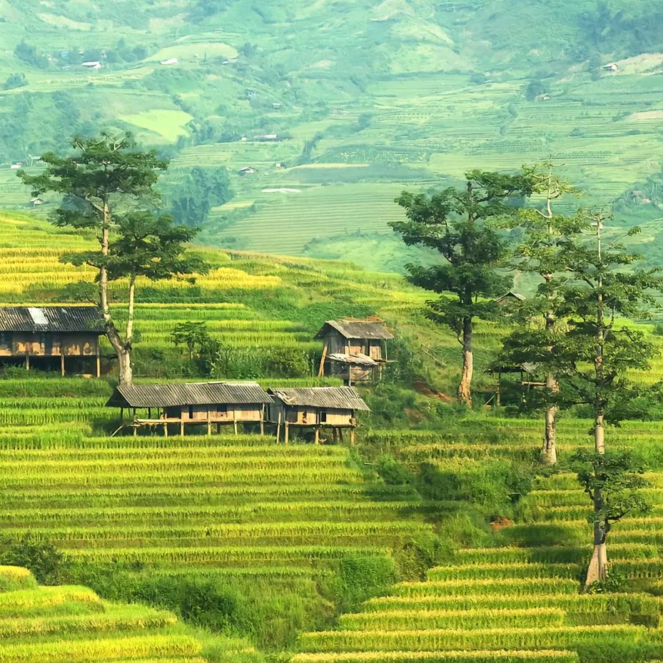 多边田园（三农生鲜系列）