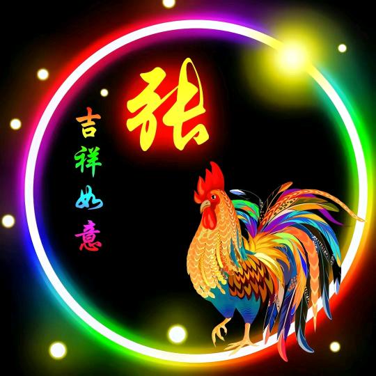 河南张记张师傅大排档官方号