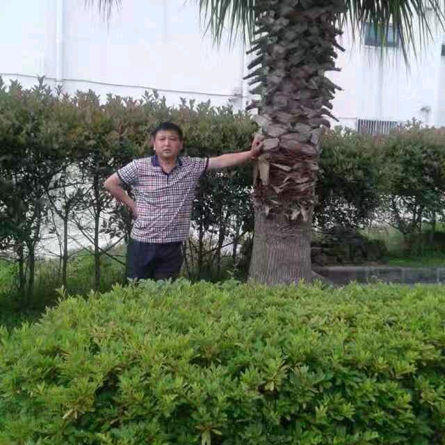 米老鼠