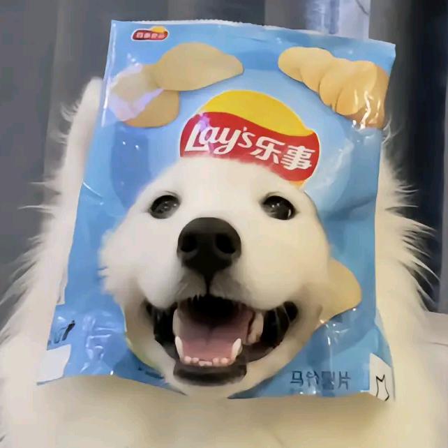 小杨不想上早八