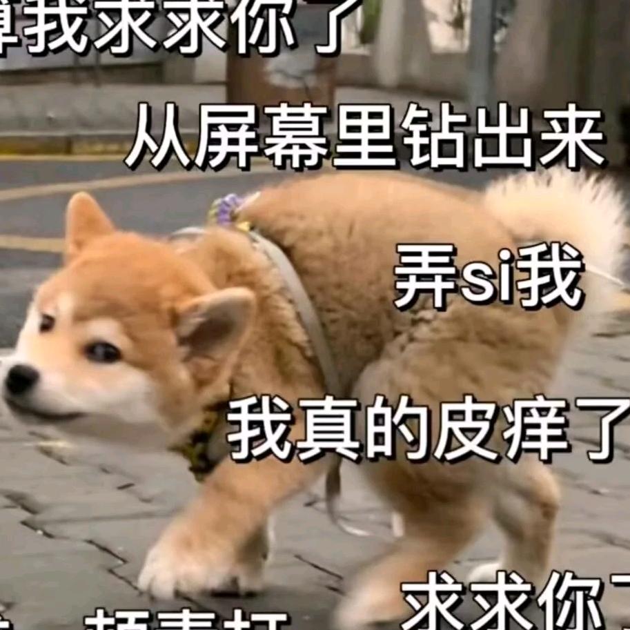 平平无奇大怨种