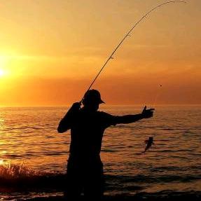 🐟逍遥钓客🐟