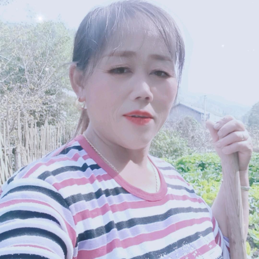 杨桂花