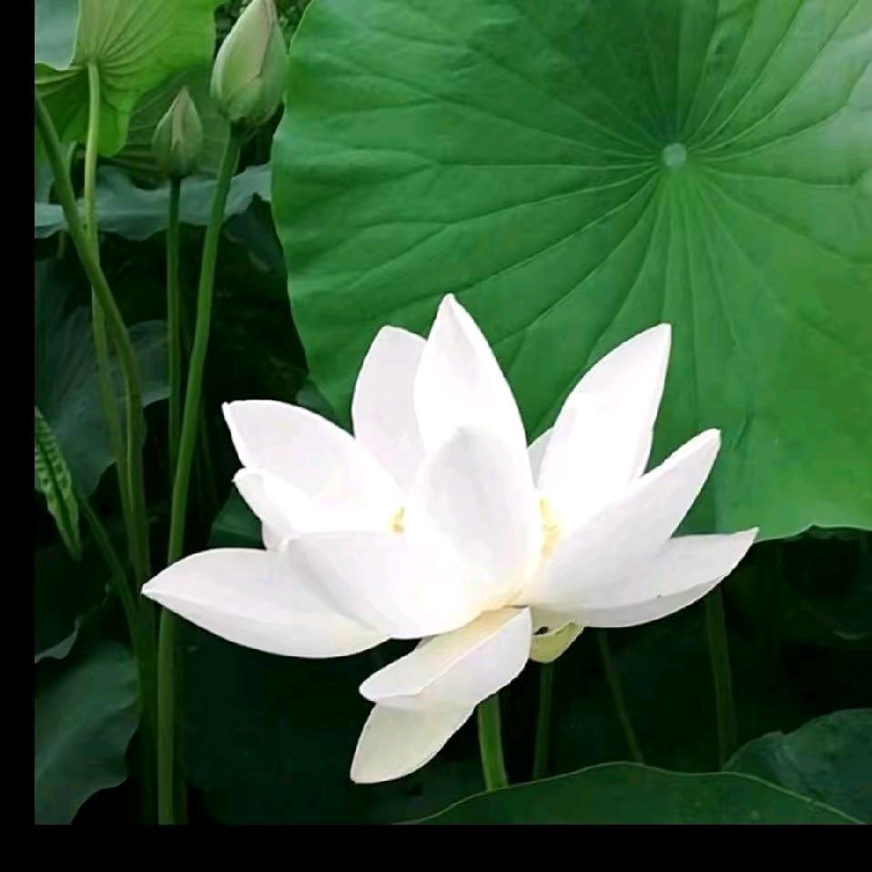 方海英