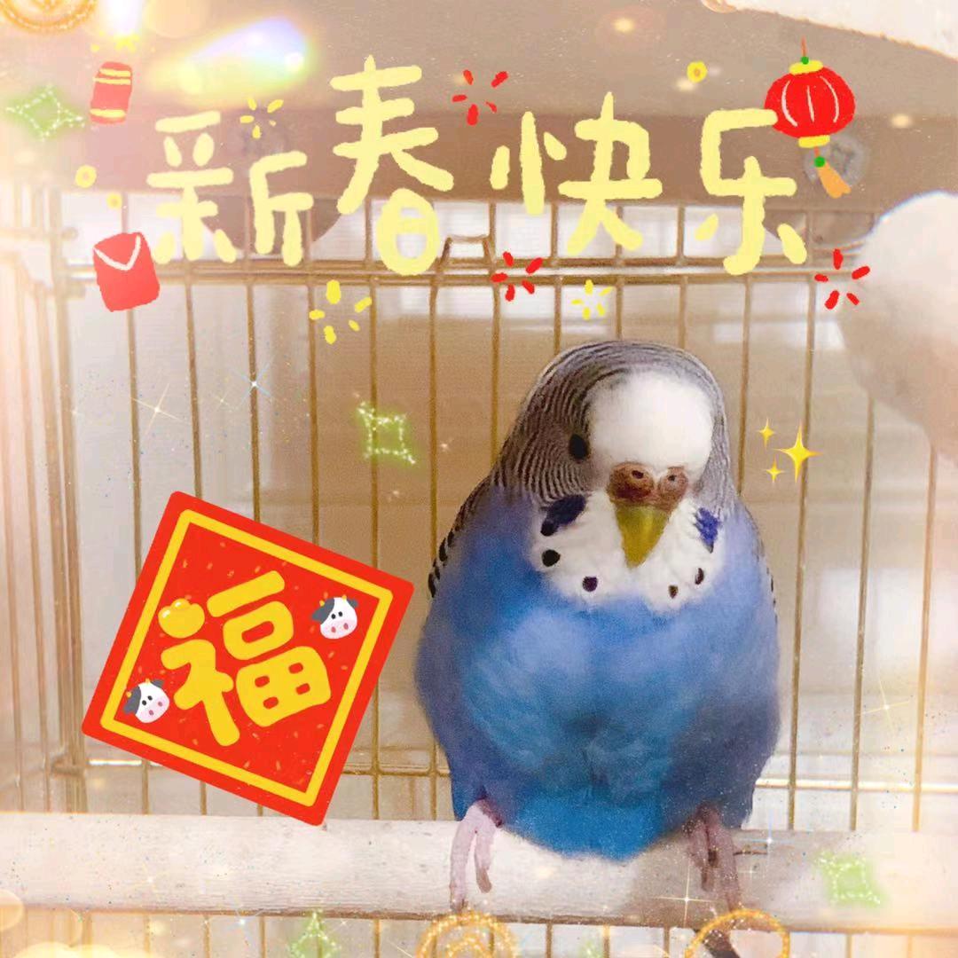 萱如