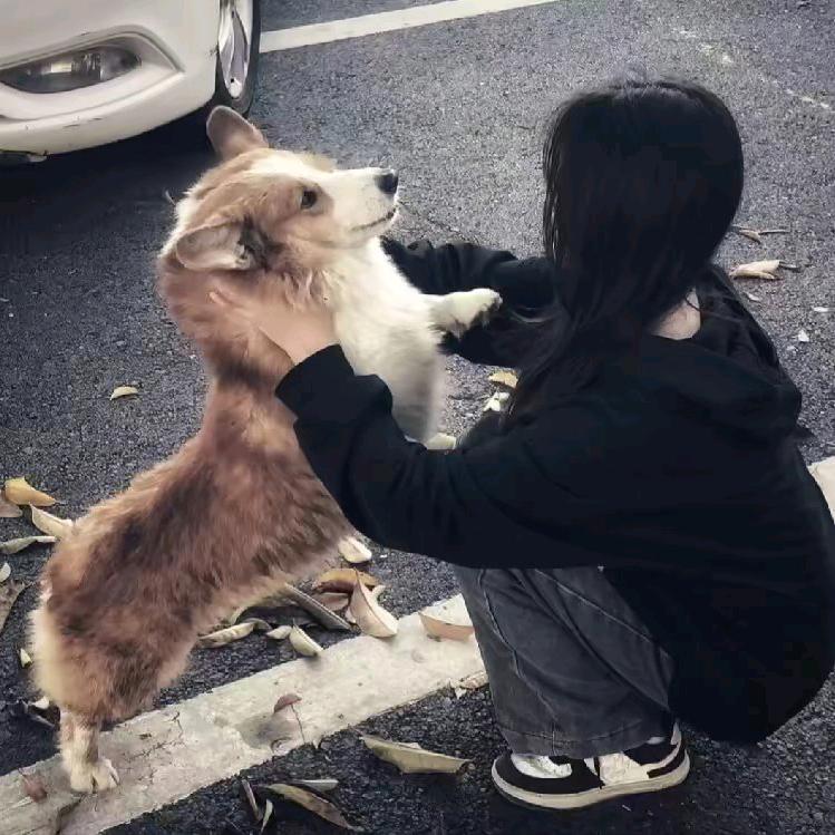 不太美的 小美.