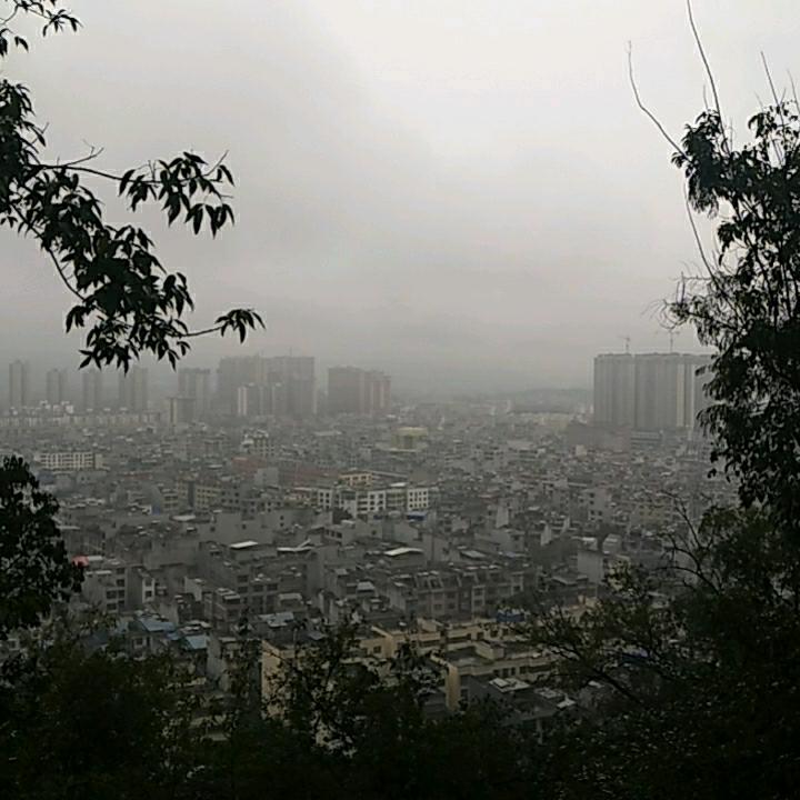 雨装饰