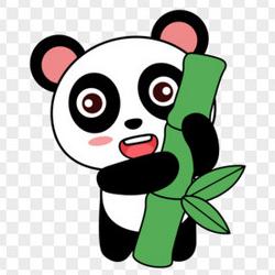 熊猫短剧