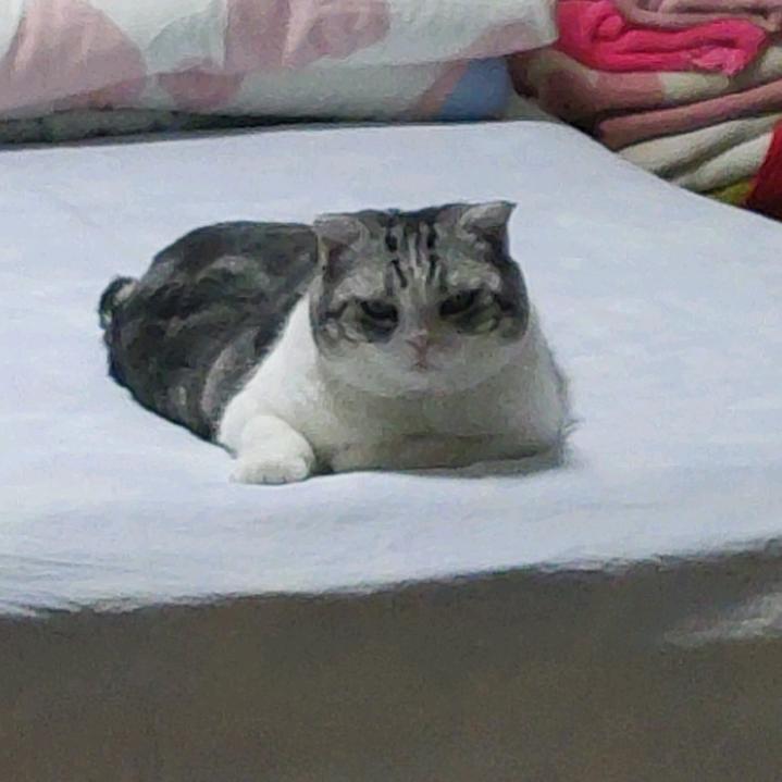 一号女嘉宾