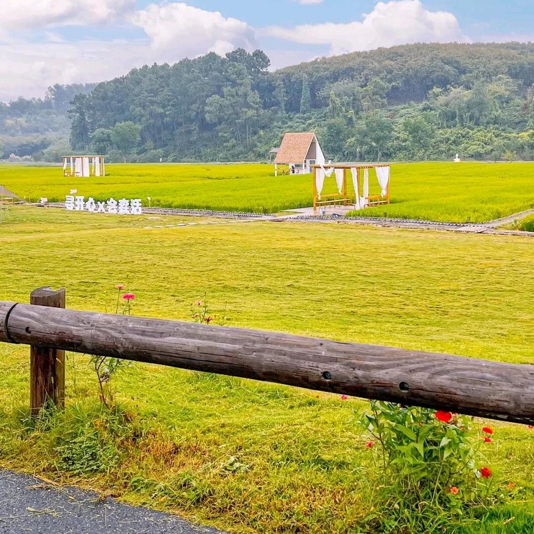 鲜徒现榨饮品工厂店