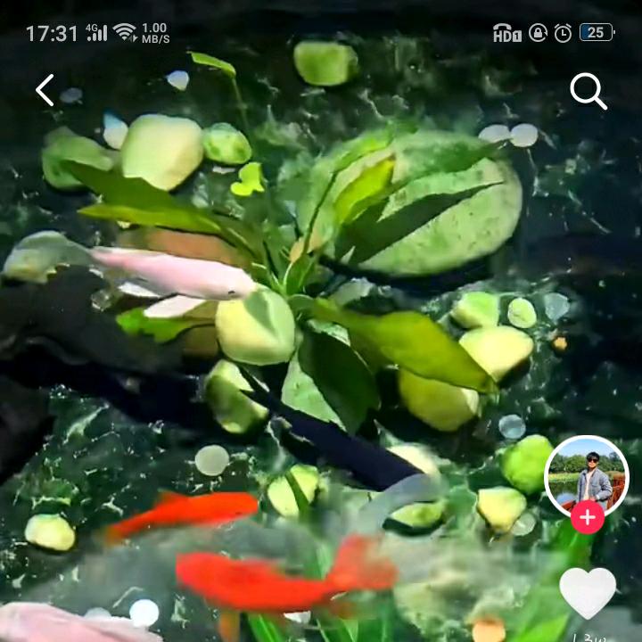 新城已无就少年