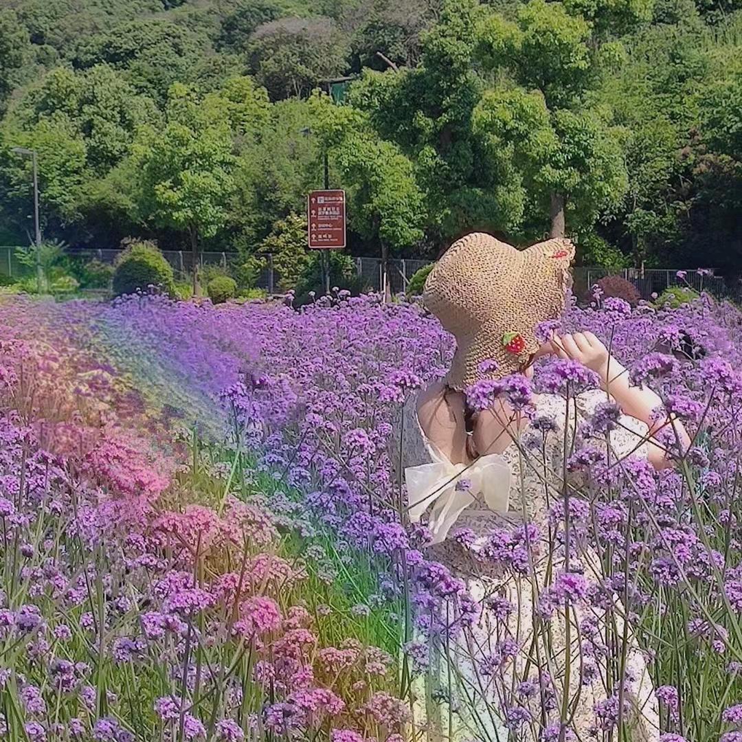 诺亚全屋定制-陈圣克🥕