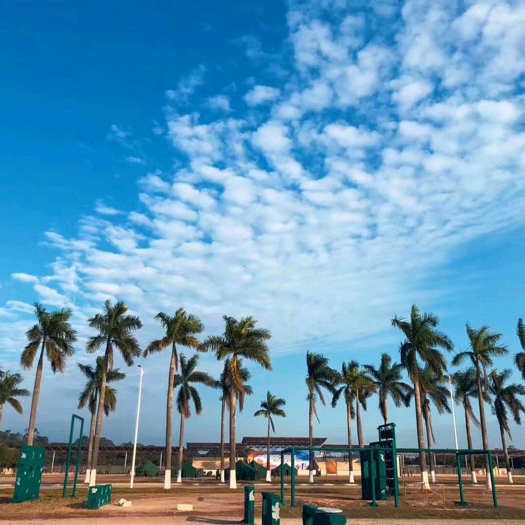 阿波