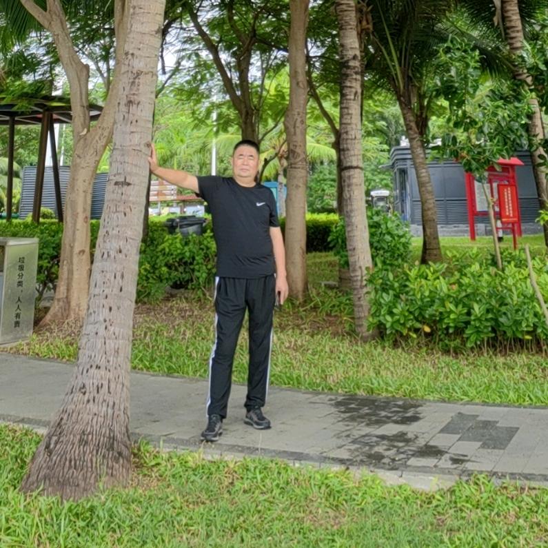 玉米架（山东小董助理）