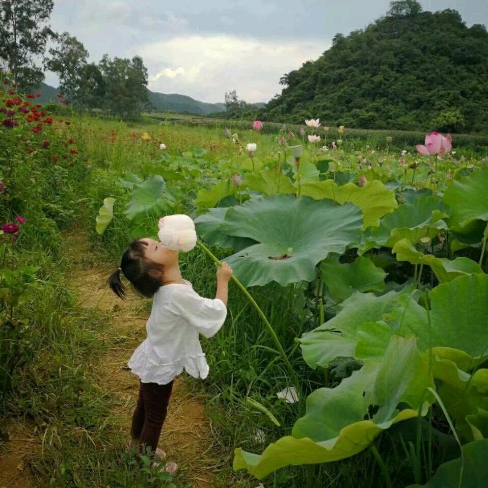 和你一样