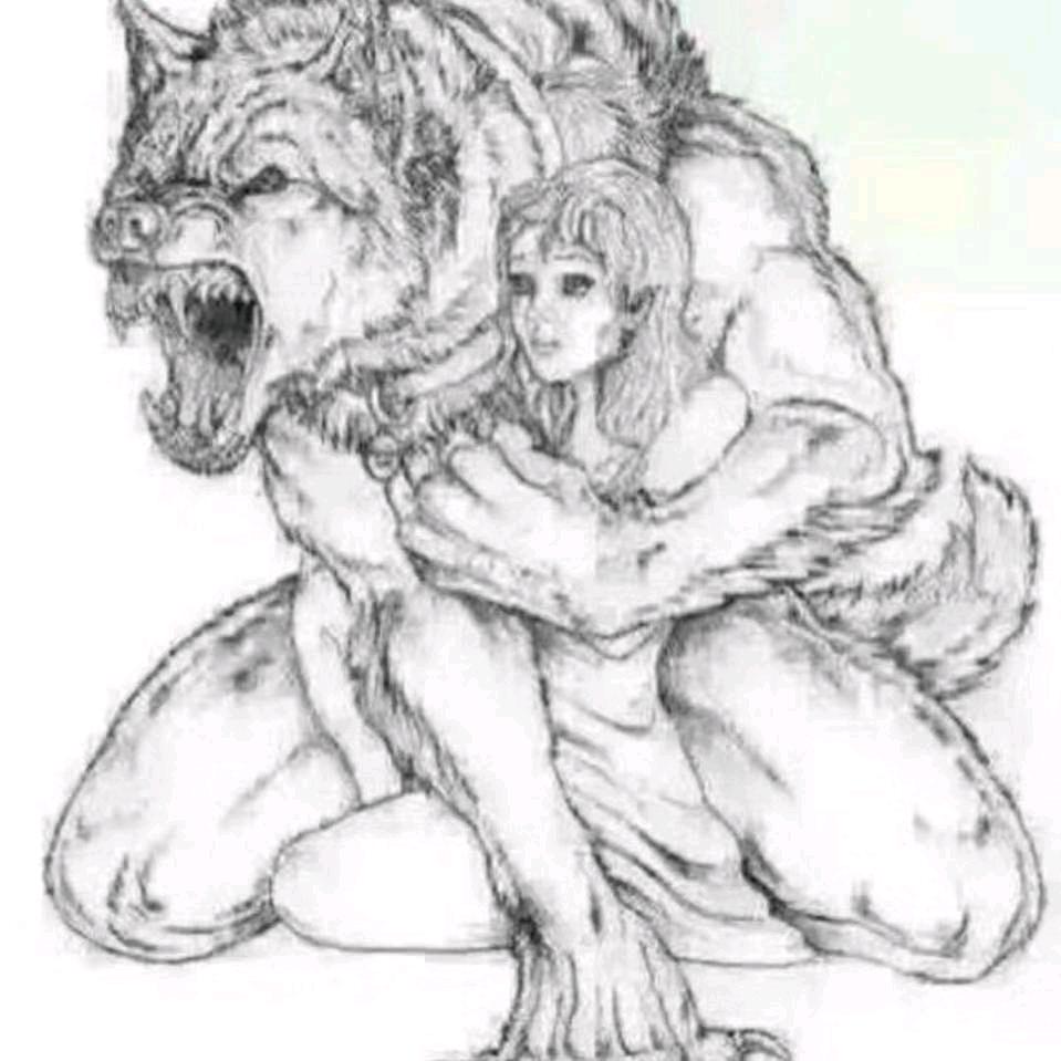 多伦湖渔水人家