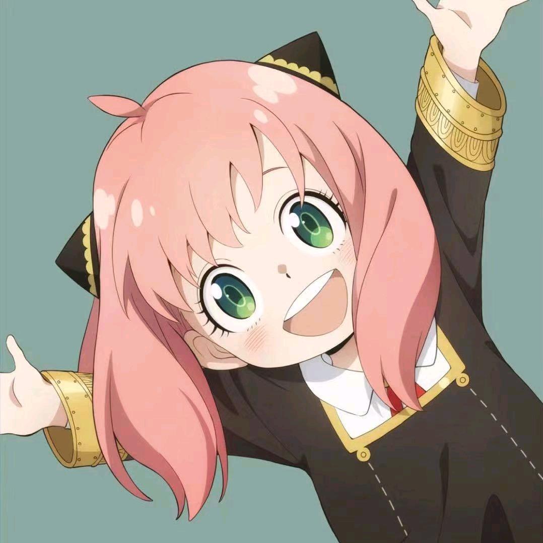 Pet eno宠烯玩具屋优选