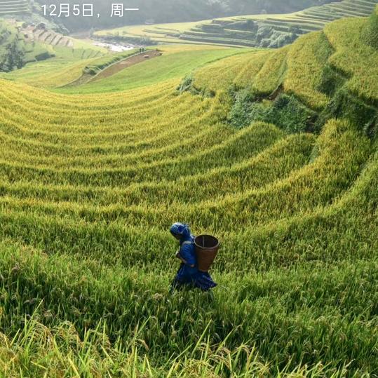 吴志敏