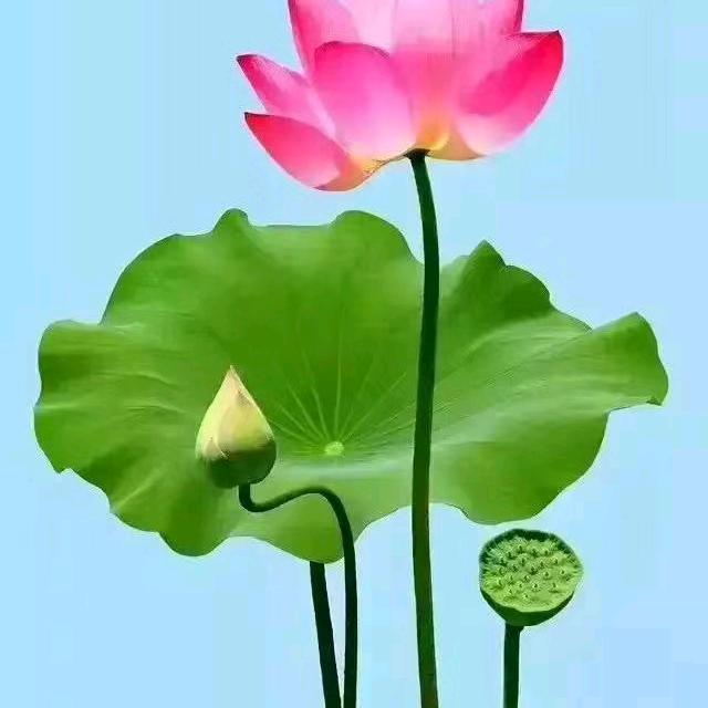 用户9494362834957