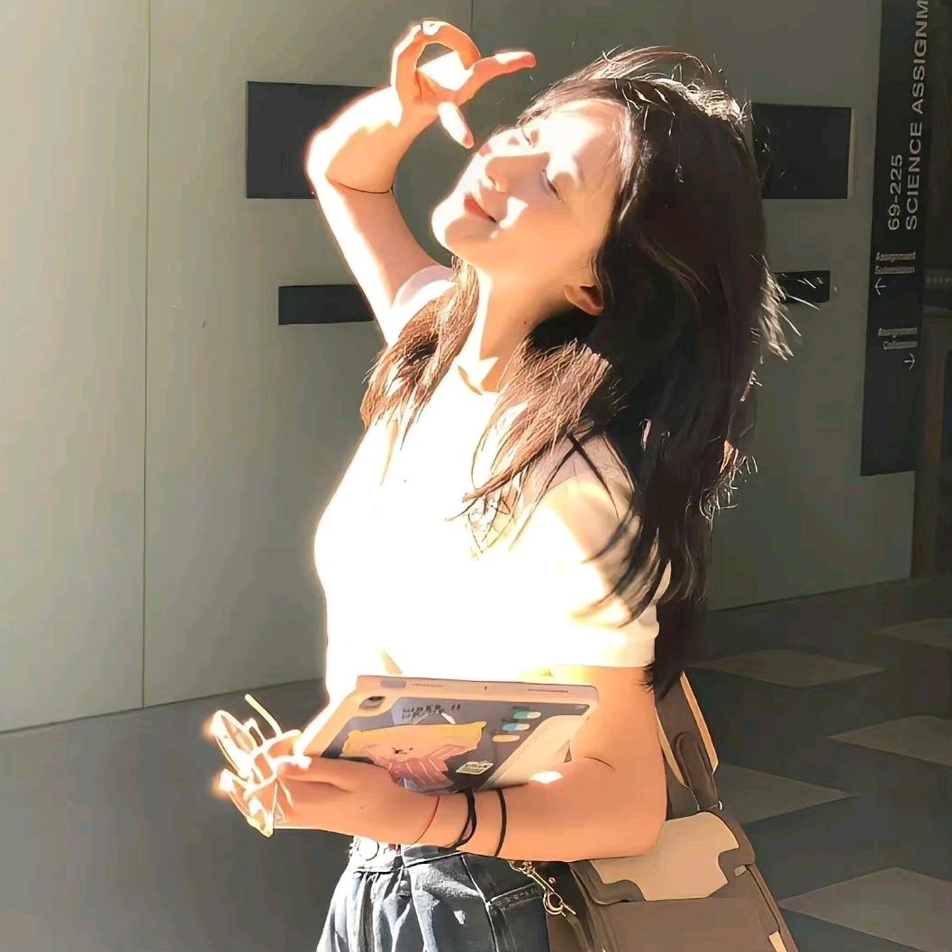小波的世界