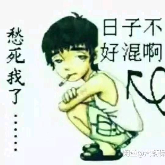 夏天的风景