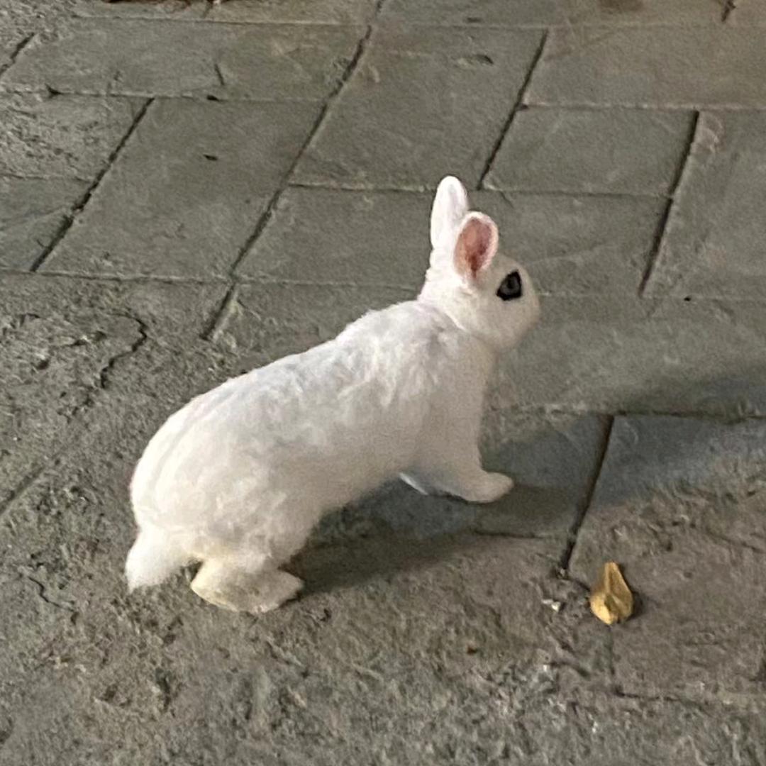小陈想睡觉