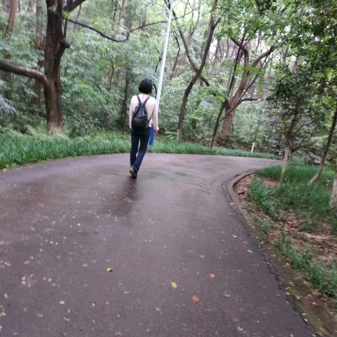 青鸟