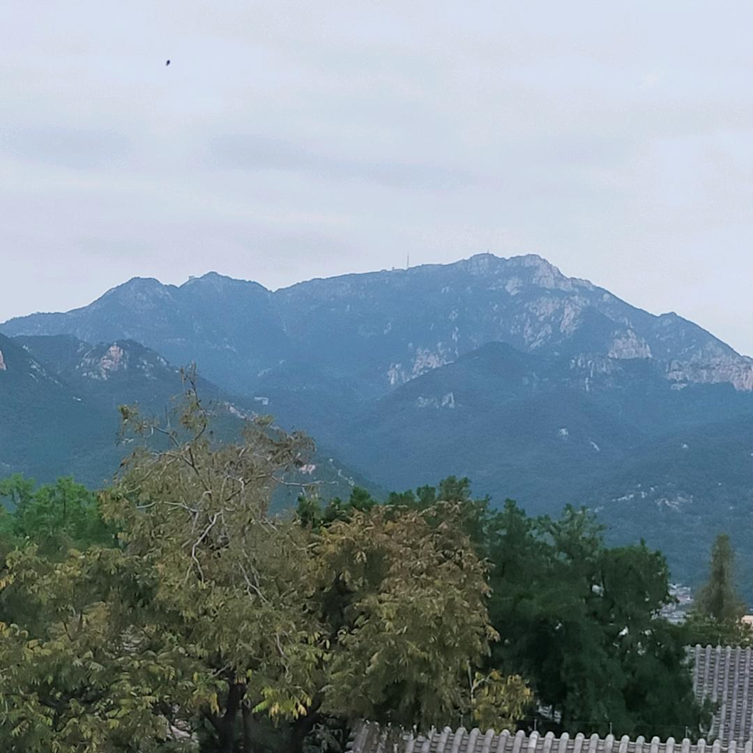 来米来米