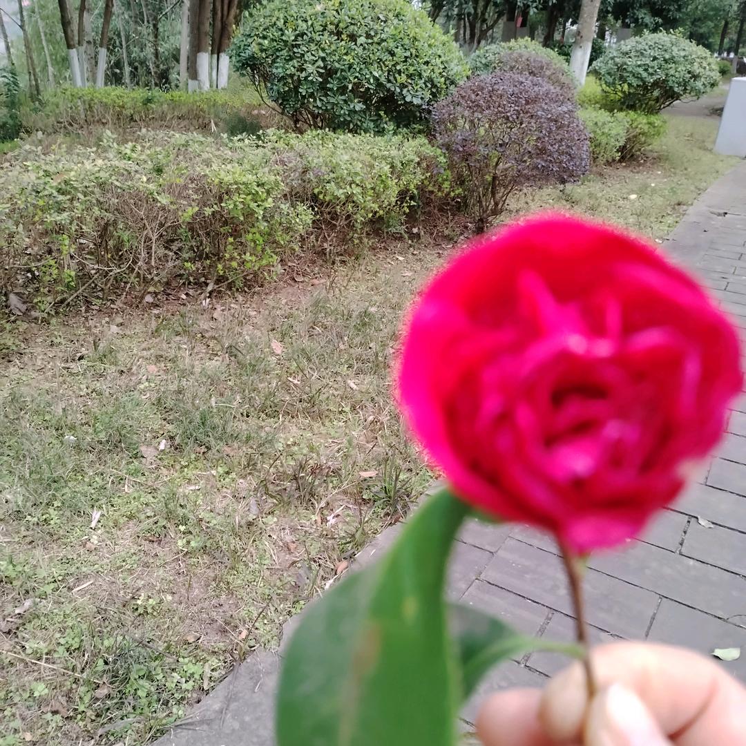 晓晓