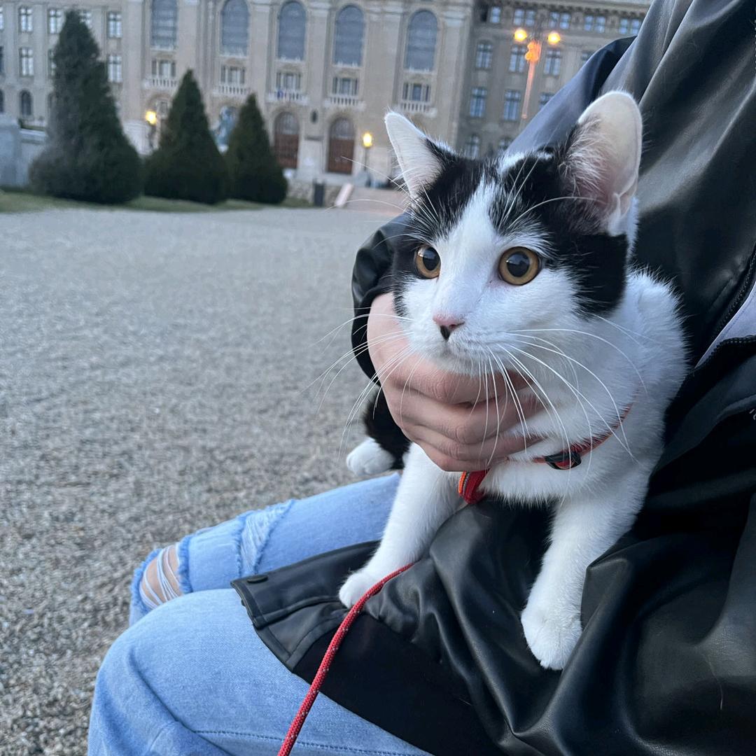 彦川和瑞秋🇨🇳🇭🇺