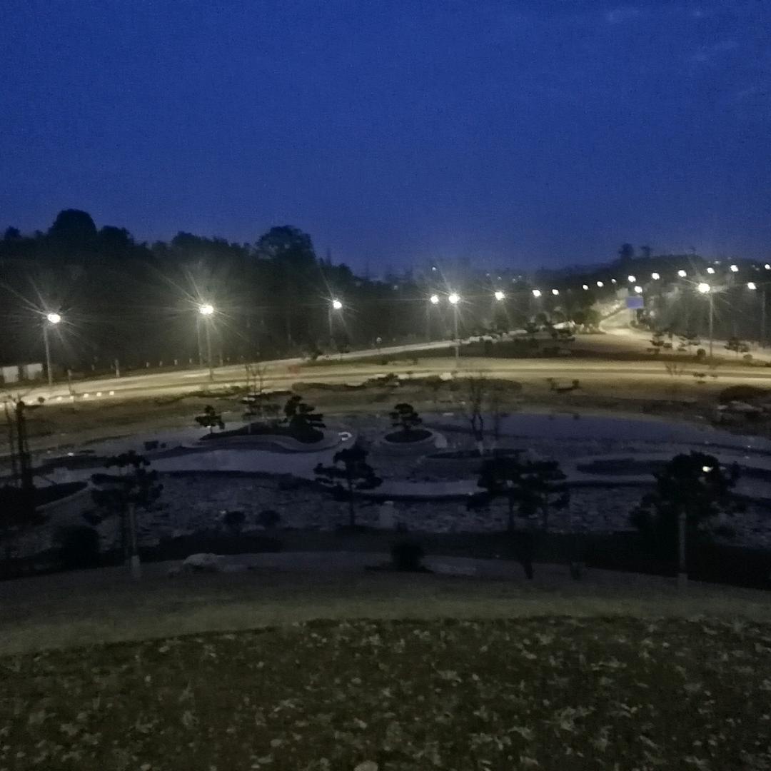 繁花似锦(｡･ω･｡)ﾉ♡