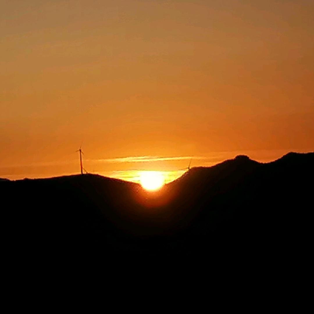 东风夜放花千树